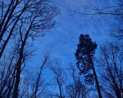 parafialna-droga-krzyzowa003