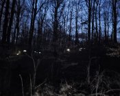 Parafialna Droga Krzyżowa na Kalwarię w Męcince