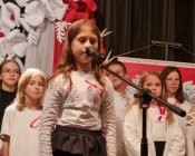 Mieszkańcy Gminy Męcinka dla Niepodległej 