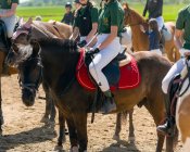 zawody-konne005