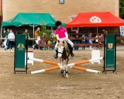 zawody-konne006