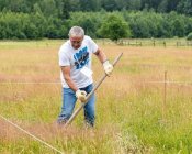 muchowski-kosiarz005