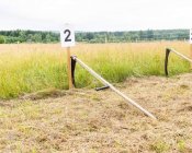 muchowski-kosiarz007