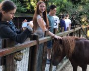 Pozdrowienia z Disnaylandu w Paryżu