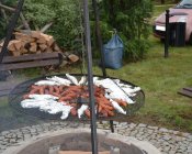 muchowski-kosiarz-008