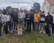 wspolpraca-29lat-001