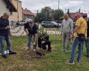 wspolpraca-29lat-002