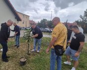 wspolpraca-29lat-004