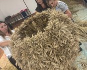 przygotowania_dozymki02