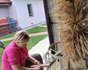 przygotowania_dozymki06