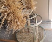 przygotowania_dozymki12