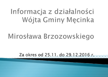 Informacja z pracy Wójta