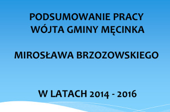 Podsumowanie pracy 2014-2016