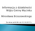 Info praca Wójta